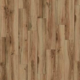 CLASSIC OAK 24844
