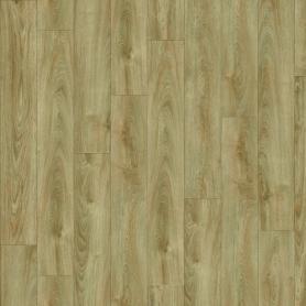 MIDLAND OAK 22240