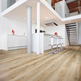 Blackjack Oak 22229
